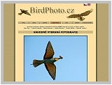 Bezvadné fotografie ptáků - birdphoto.cz