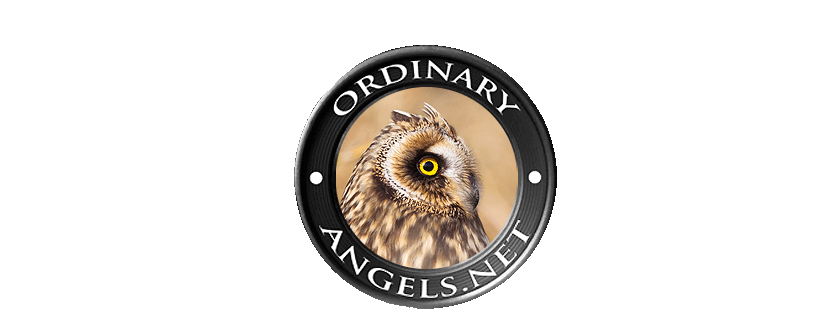 ordinary angels