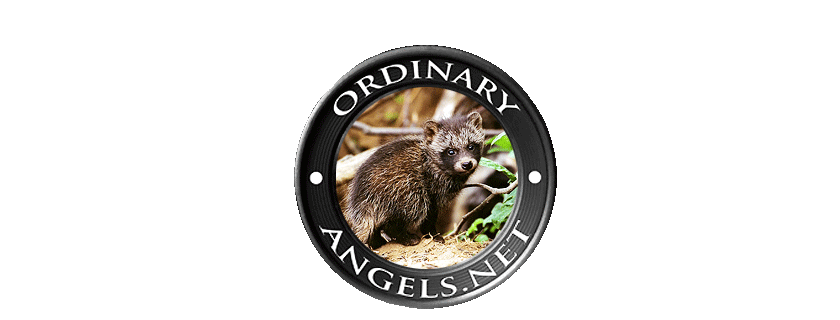 ordinary angels