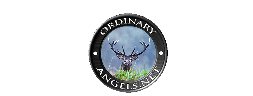 ordinary angels