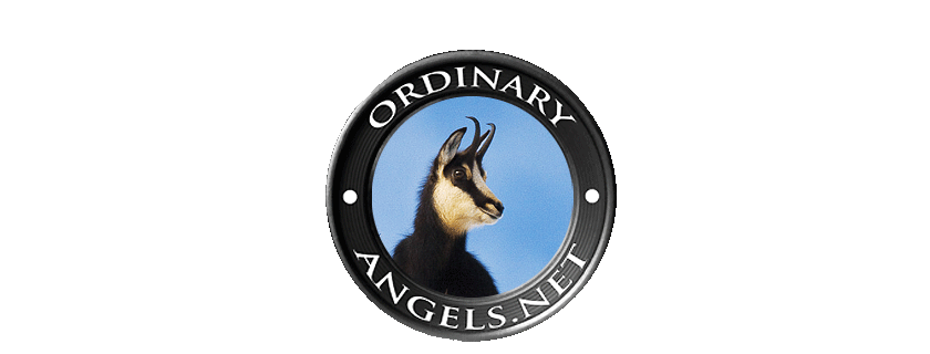 ordinary angels